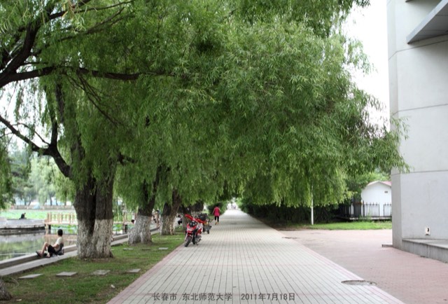 Kampus Northeast Normal University