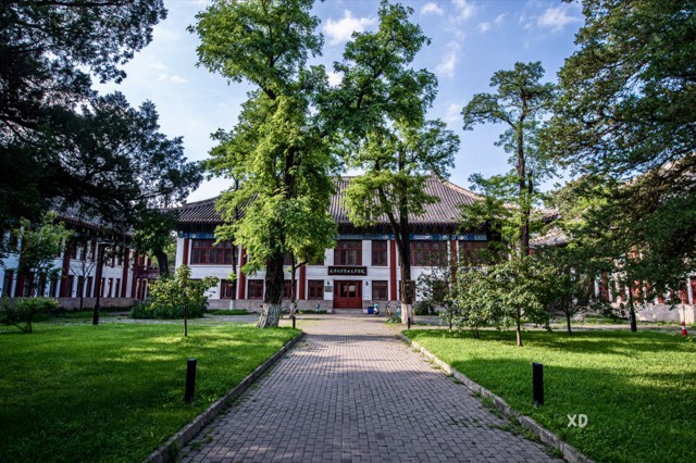 Peking University